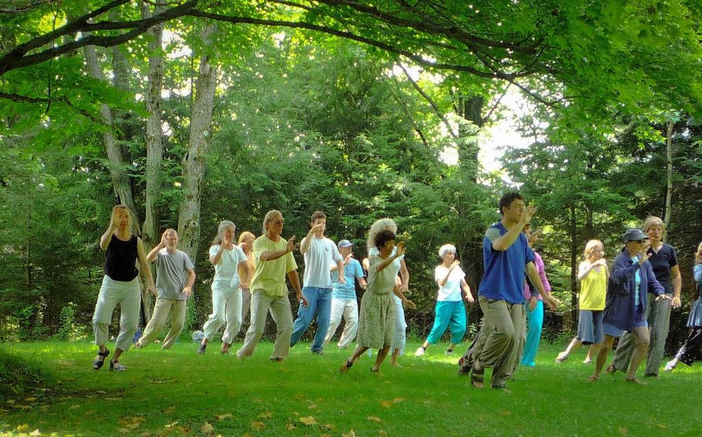 Art Chi Center Pierre Boogaerts | 330 Chemin Lisgar, Ulverton, QC J0B 2B0, Canada | Phone: (888) 922-1146