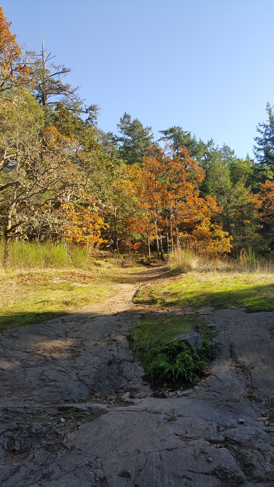 Bear Hill Summit | 6102 Central Saanich Rd, Victoria, BC V8Z 5T7, Canada