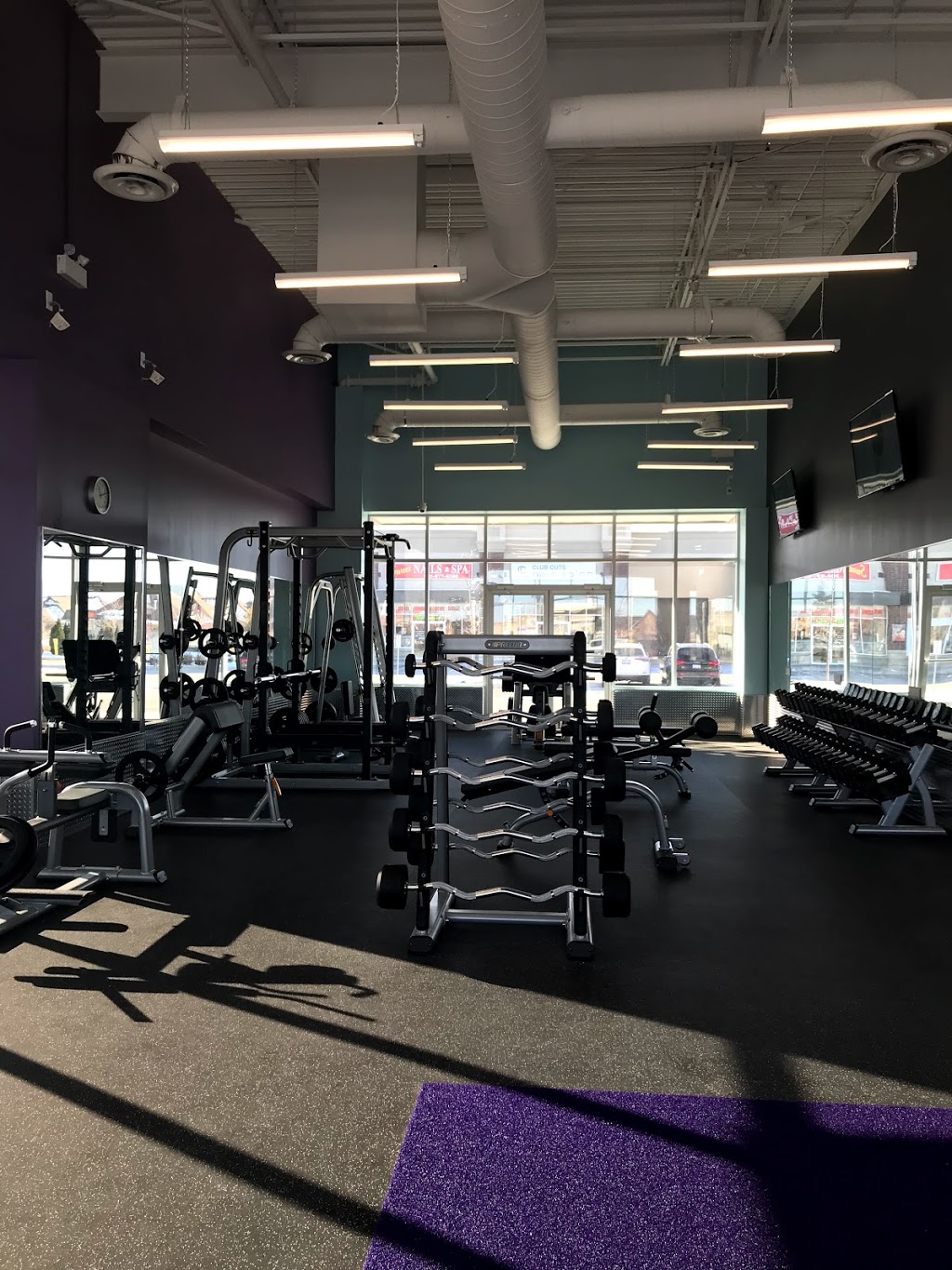 Anytime Fitness | 380 Mountainview Rd S, Georgetown, ON L7G 0L5, Canada | Phone: (905) 873-0300