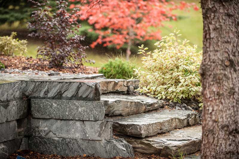 Park Landscaping Ltd | 20924 100 Ave NW, Edmonton, AB T5T 5X8, Canada | Phone: (780) 486-2744