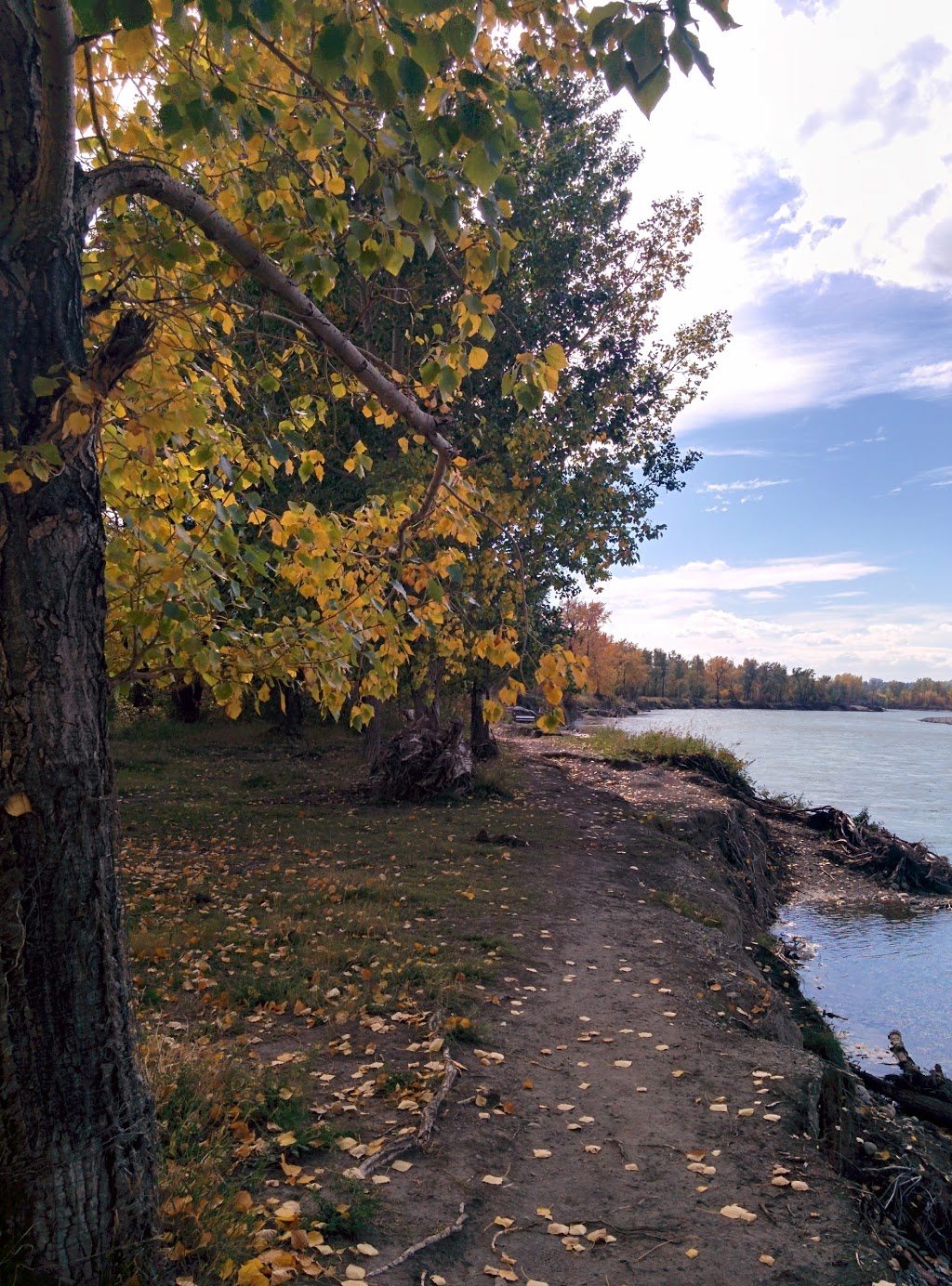 Old Refinery Park | 4687 Barlow Trail SE, Calgary, AB T2B 3T6, Canada | Phone: (403) 268-2489