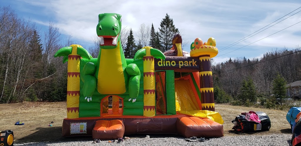 Jeux Gonflable - Amus-O-Max | 1359 Allée du Golf, Saint-Raymond, QC G3L 0E8, Canada | Phone: (418) 934-2468