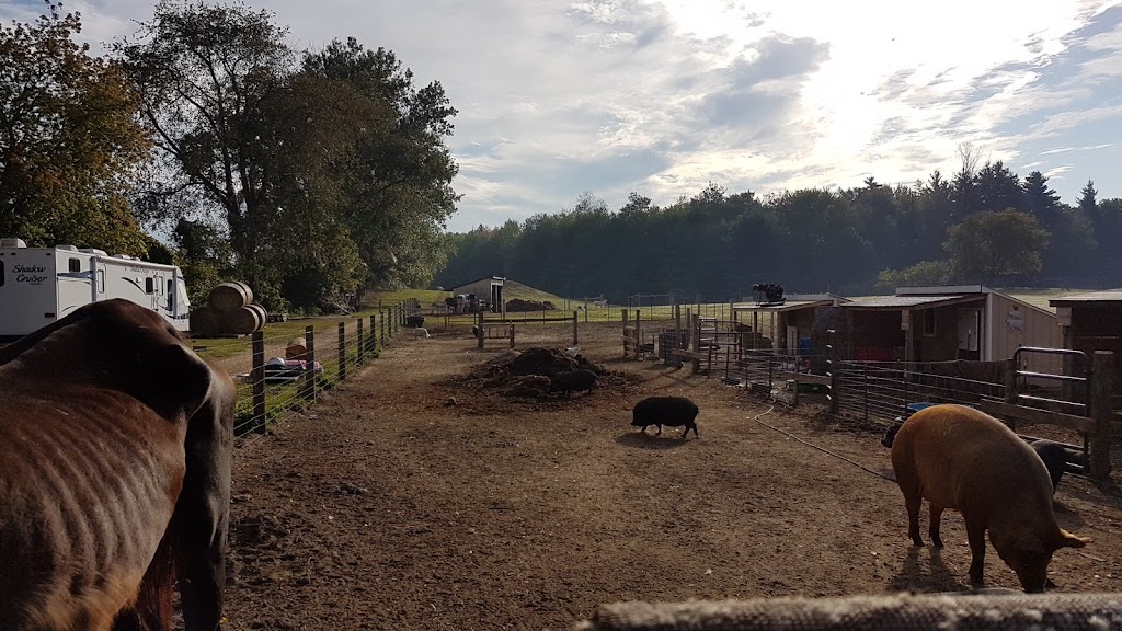 FrogHollow Farm Sanctuary | 855102 Gobles Rd, Princeton, ON N0J 1V0, Canada | Phone: (519) 535-4763
