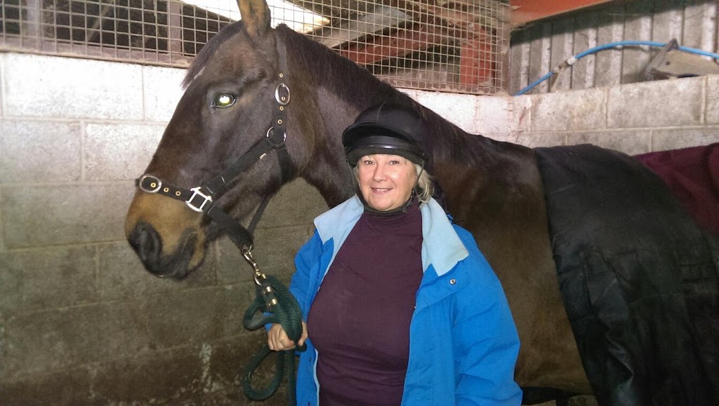 Brubachers Harness Supplies & Tack Shop | 6377 Yatton Sideroad, Wallenstein, ON N0B 2S0, Canada | Phone: (519) 669-2064