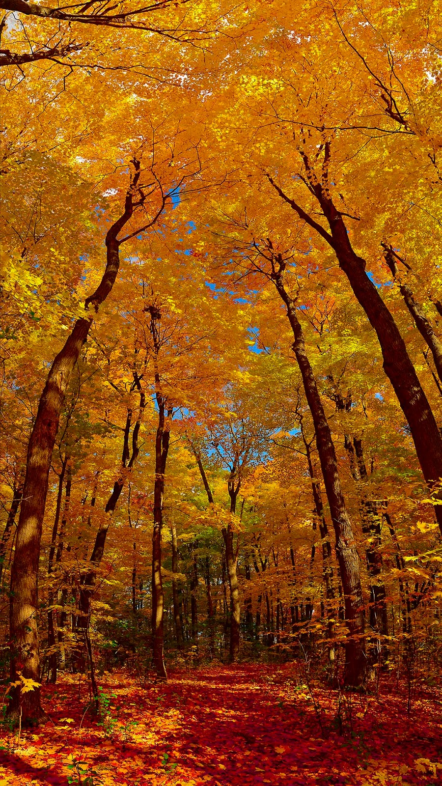 BB | Magwood Park, York, ON M6S 2J2, Canada | Phone: (647) 874-1218