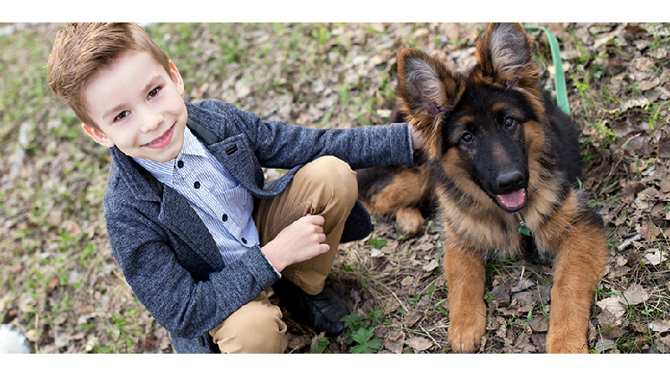 Baden K9 | 3549 Sixteen Rd, Saint Anns, ON L0R 1Y0, Canada | Phone: (833) 306-4966