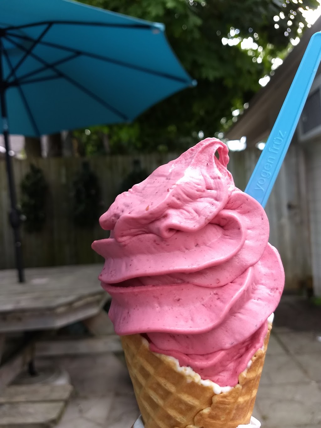Rosies Ice Cream Shoppe | 25 Bayfield Main St N, Bayfield, ON N0M 1G0, Canada | Phone: (519) 565-2004