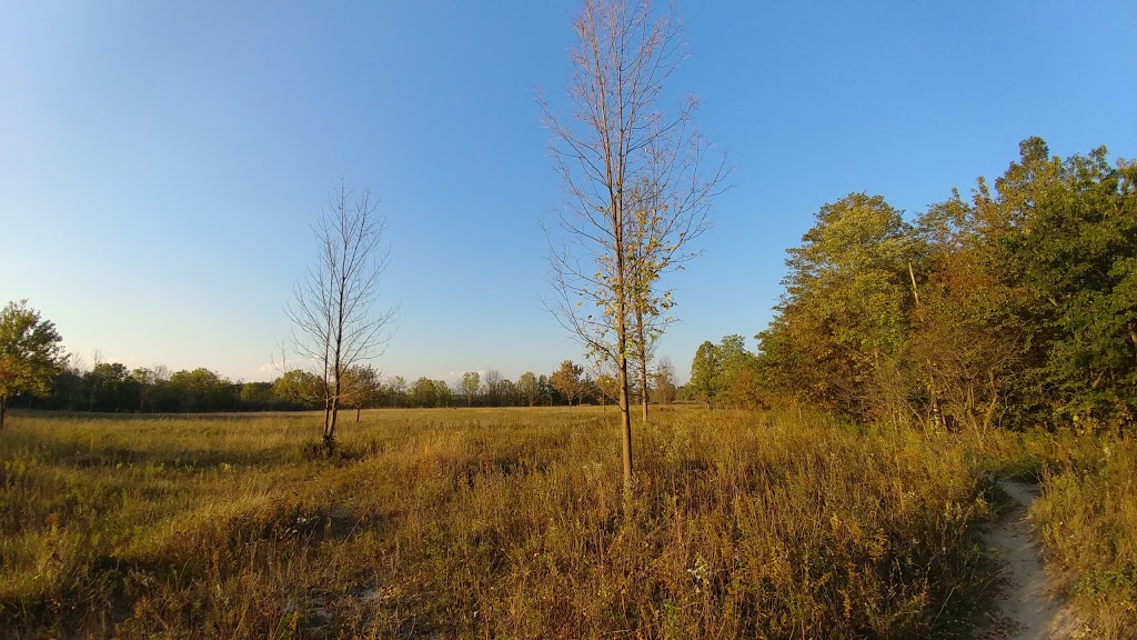 McMaster Conservation Corridor | Monarch Trail, Hamilton, ON L9H 5E3, Canada