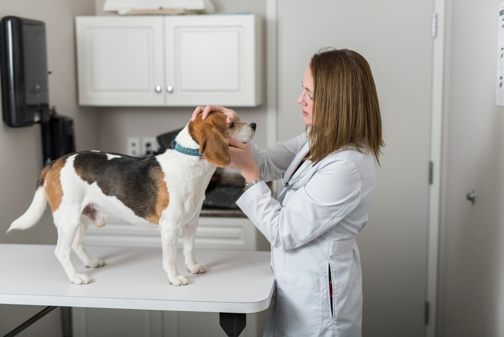 Highview Animal Clinic Ltd | 1104 18 St SE, High River, AB T1V 2A6, Canada | Phone: (403) 652-1300
