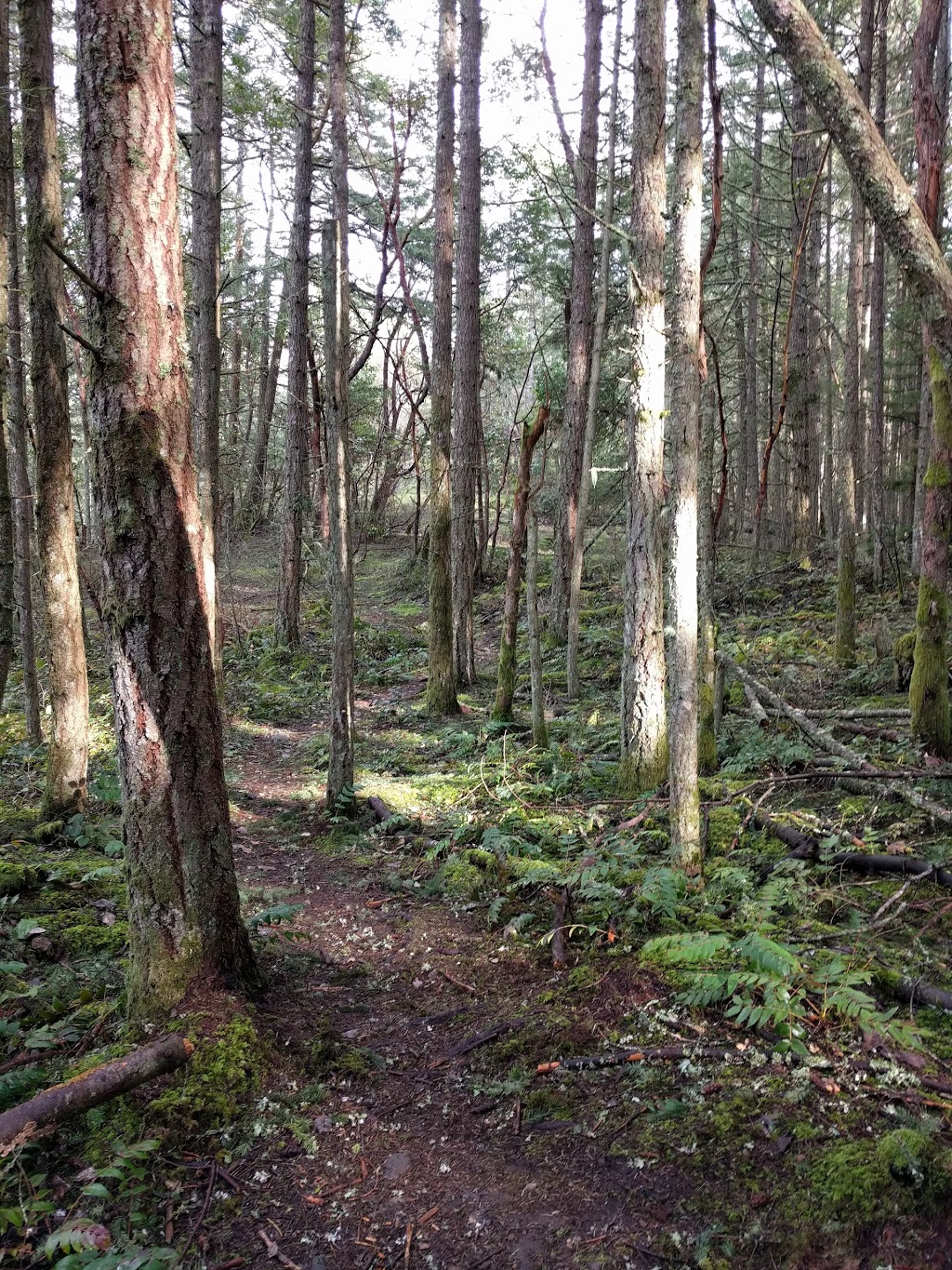 Peter Arnell Park | 409 Stewart Rd, Salt Spring Island, BC V8K 1Y6, Canada | Phone: (250) 360-3000