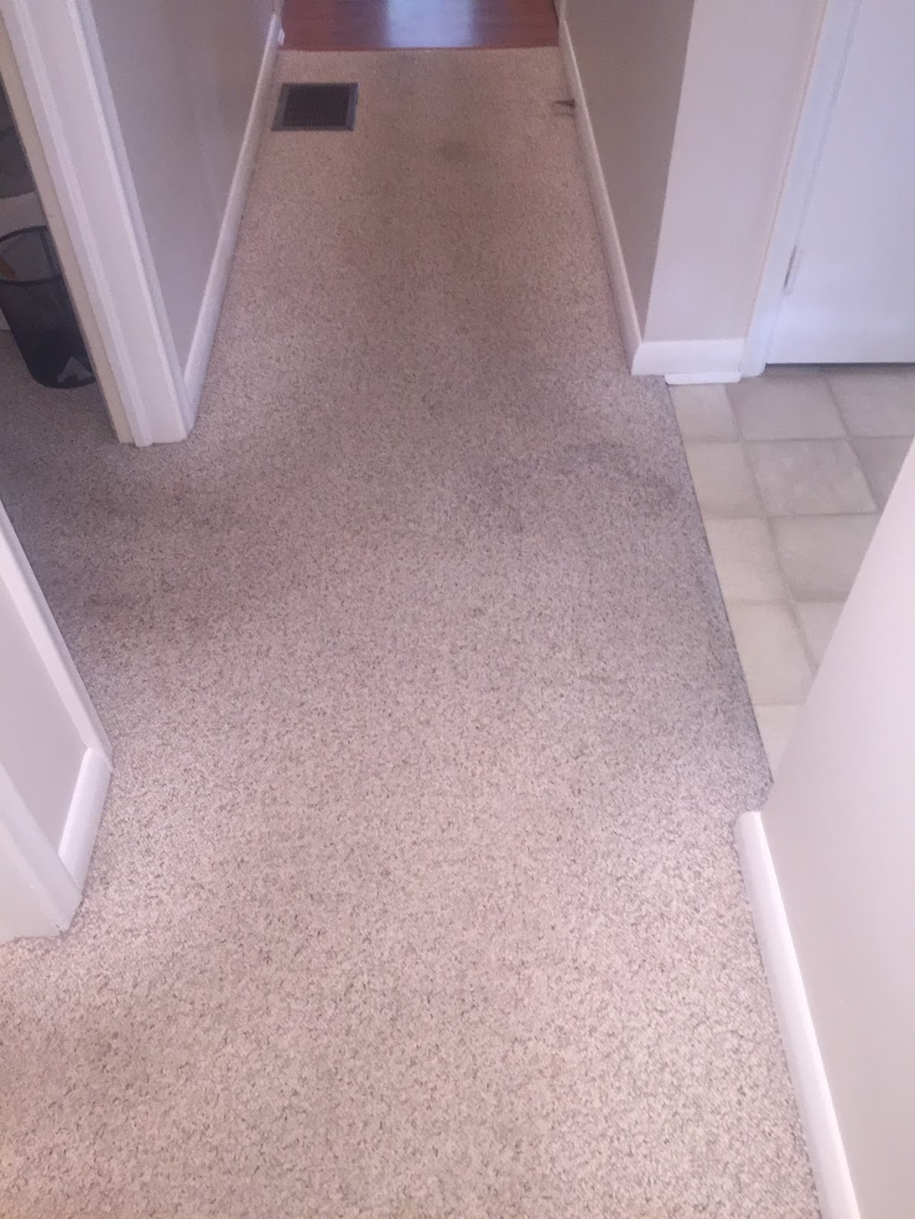 Simcoe Carpet & Upholstery Cleaners | 90 Ardagh Rd, Barrie, ON L4N 9B7, Canada | Phone: (705) 721-7555