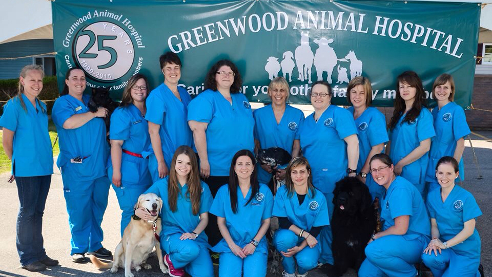 Greenwood Animal Hospital | 799 Central Ave, Greenwood, NS B0P 1N0, Canada | Phone: (902) 765-6355