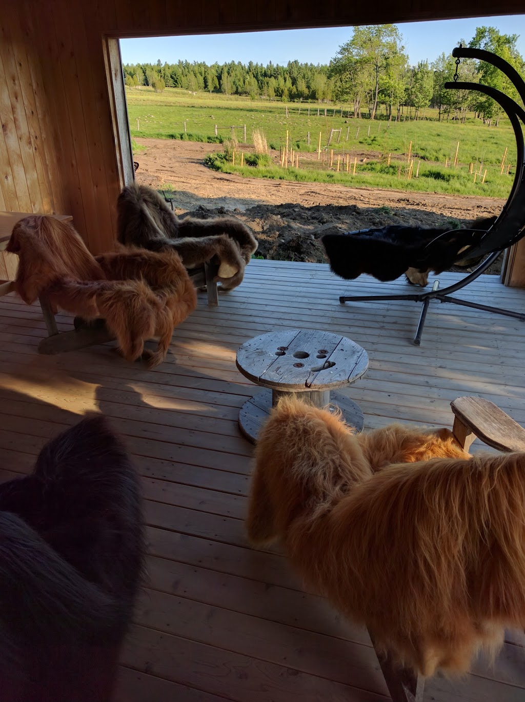 Ferme Au Pied Levé | 1107 Chemin Fitch Bay, Magog, QC J1X 3W2, Canada | Phone: (819) 843-6143