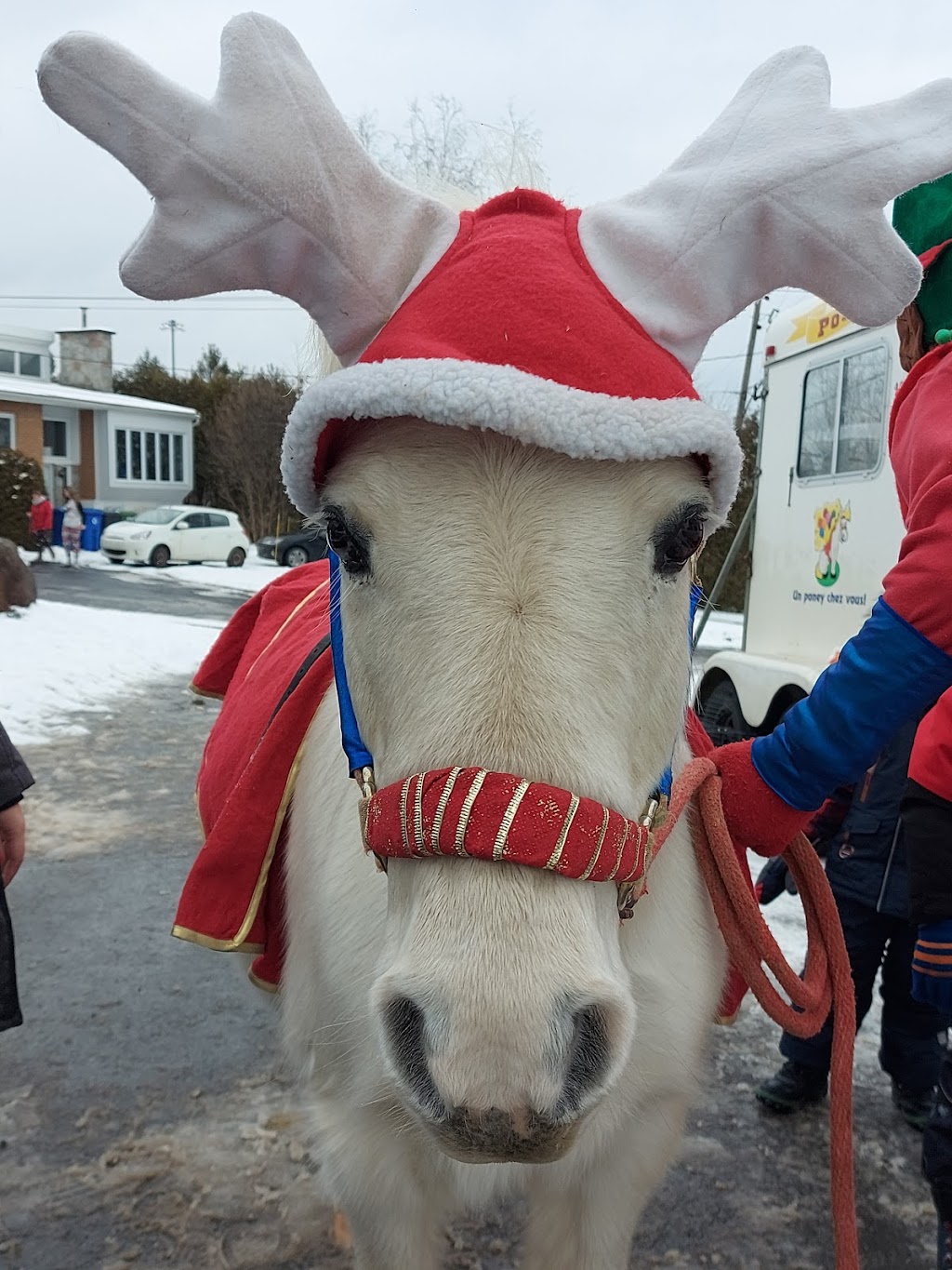 Animation Poney En Fête | #0, Saint-Jérôme, QC J5L 2K7, Canada | Phone: (450) 602-1283