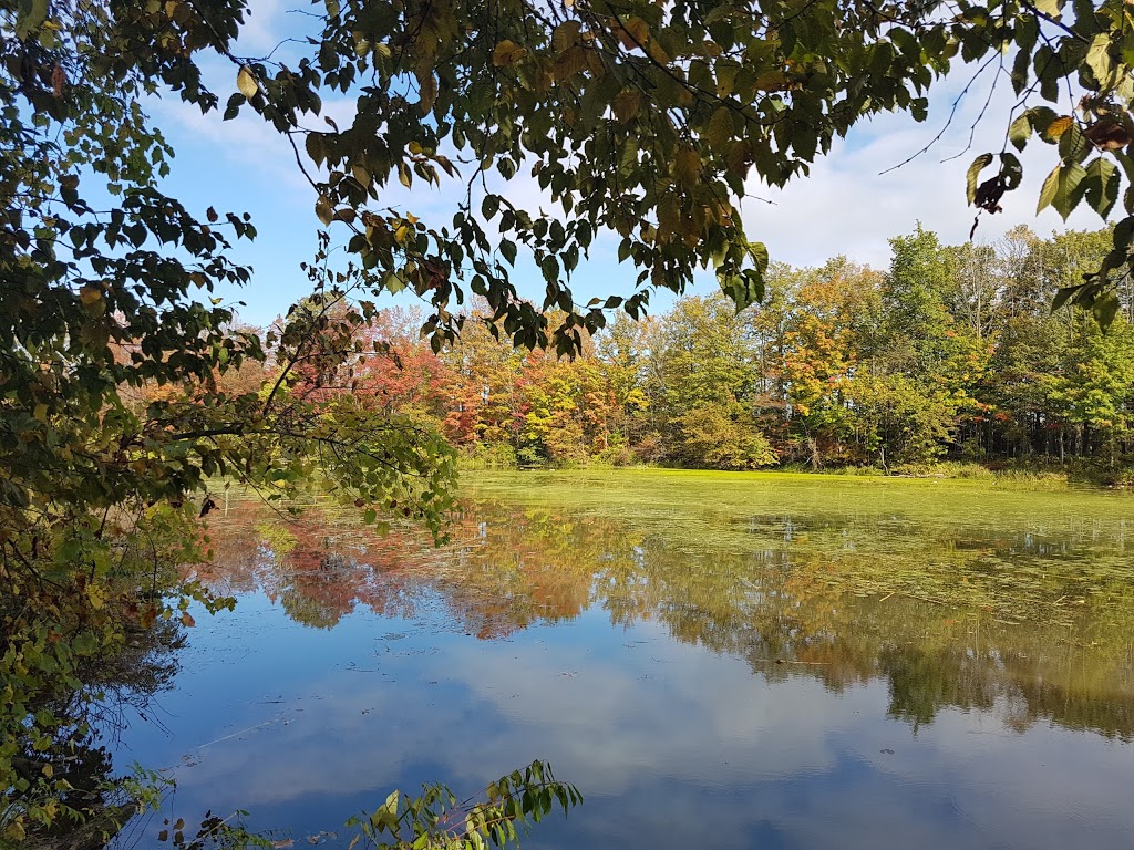 Morrison Dam Conservation Area | RR 3, 71108 Morrison Line, Exeter, ON N0M 1S5, Canada | Phone: (519) 235-2610