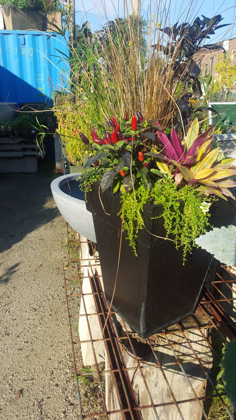 Beech Nursery | 4 Carlaw Ave, Toronto, ON M4M 2R5, Canada | Phone: (416) 461-6555