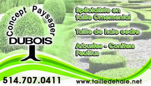 Concept Paysager Dubois | 253 , 60 avenue sud, Deux-Montagnes, QC J0N 1M0, Canada | Phone: (514) 707-0411