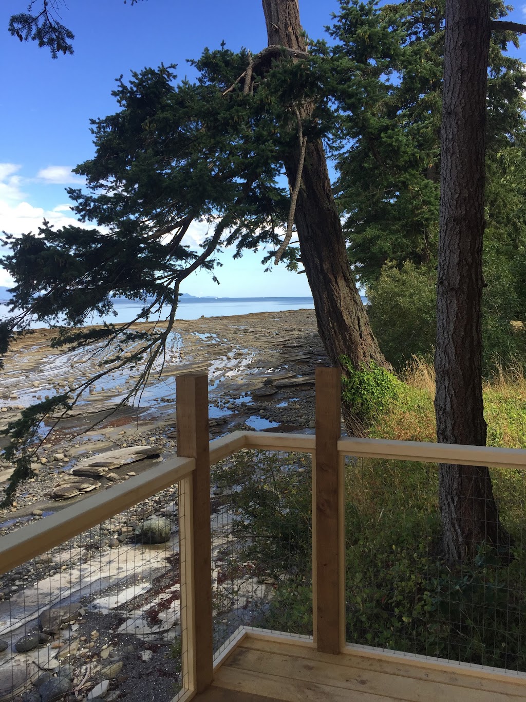 Tall Tree Construction | 877 Hutchinson Rd, Cobble Hill, BC V0R 1L4, Canada | Phone: (250) 218-7741