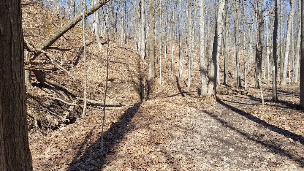 Clappison Woods | Hwy 6, Dundas, ON L9H 7B8, Canada | Phone: (905) 336-1158