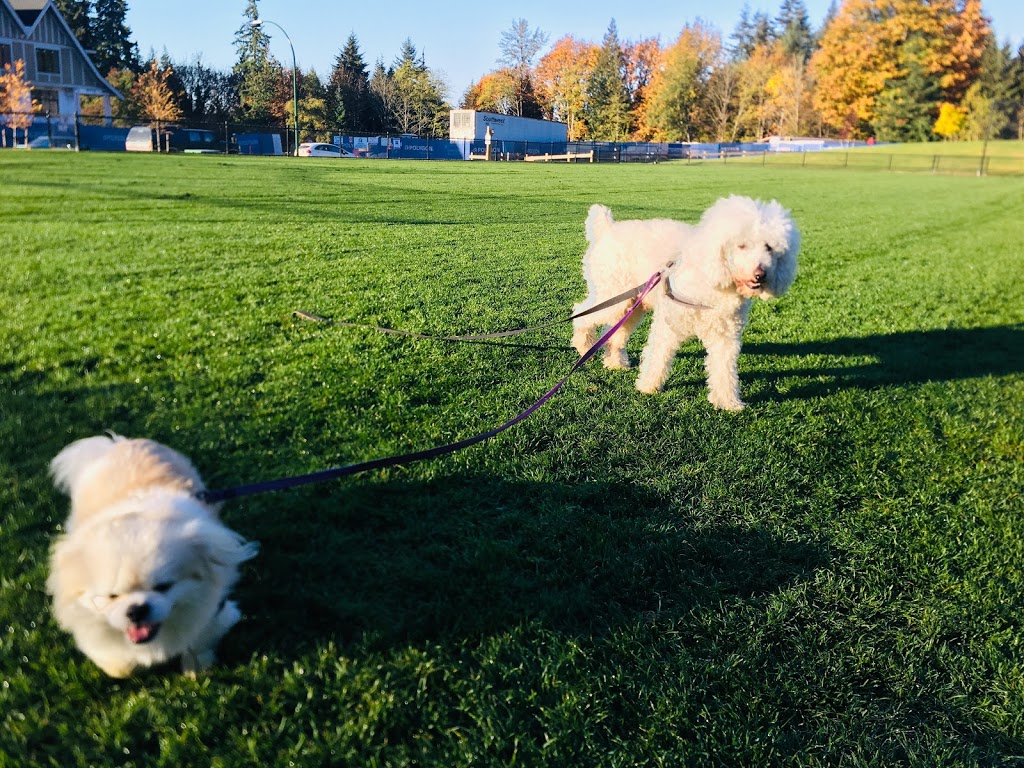 Burke Mountain Pioneer Park | 1428 Collins Rd, Coquitlam, BC V3E 0E2, Canada