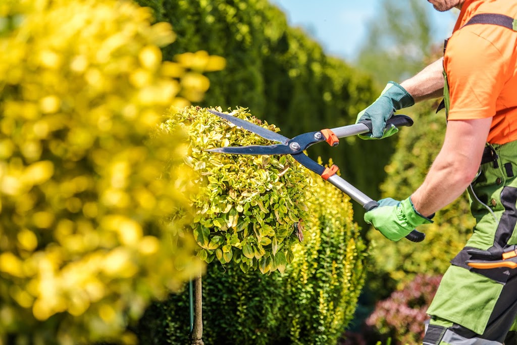 Landscaping, Fencing Services Surrey | 13311 80 Ave, Surrey, BC V3W 3B5, Canada | Phone: (604) 633-0400