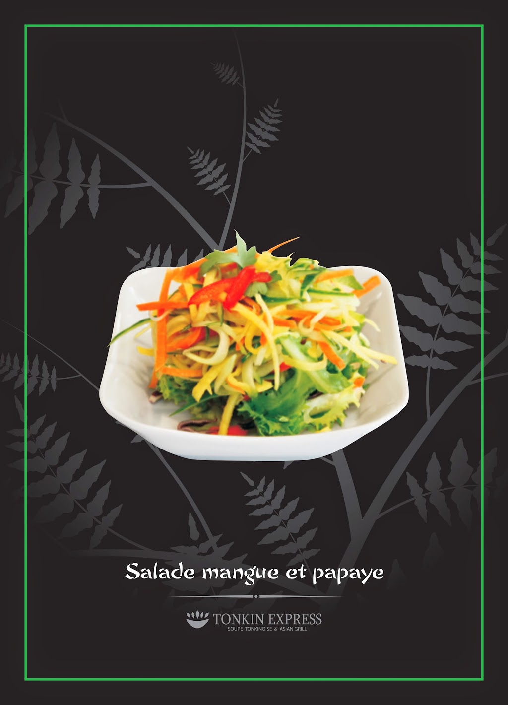 Tonkin Express Restaurant Vietnamien - Asiatique | 8582 Rue Hochelaga, Montréal, QC H1L 2M3, Canada | Phone: (514) 355-2882