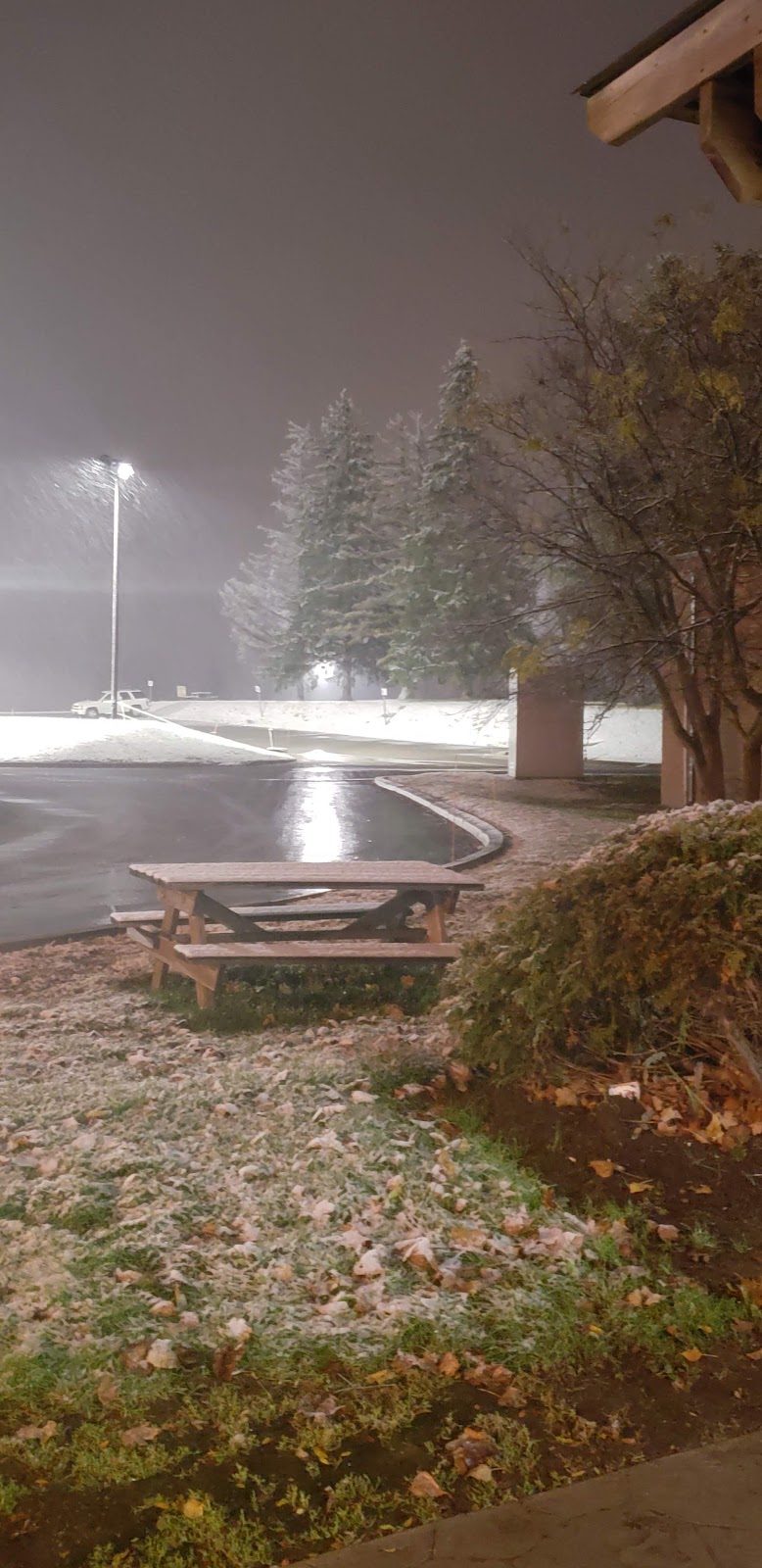 Magna Mechatronics Mirrors Lighting | 521 Newpark Blvd, Newmarket, ON L3Y 4X7, Canada | Phone: (905) 898-2665