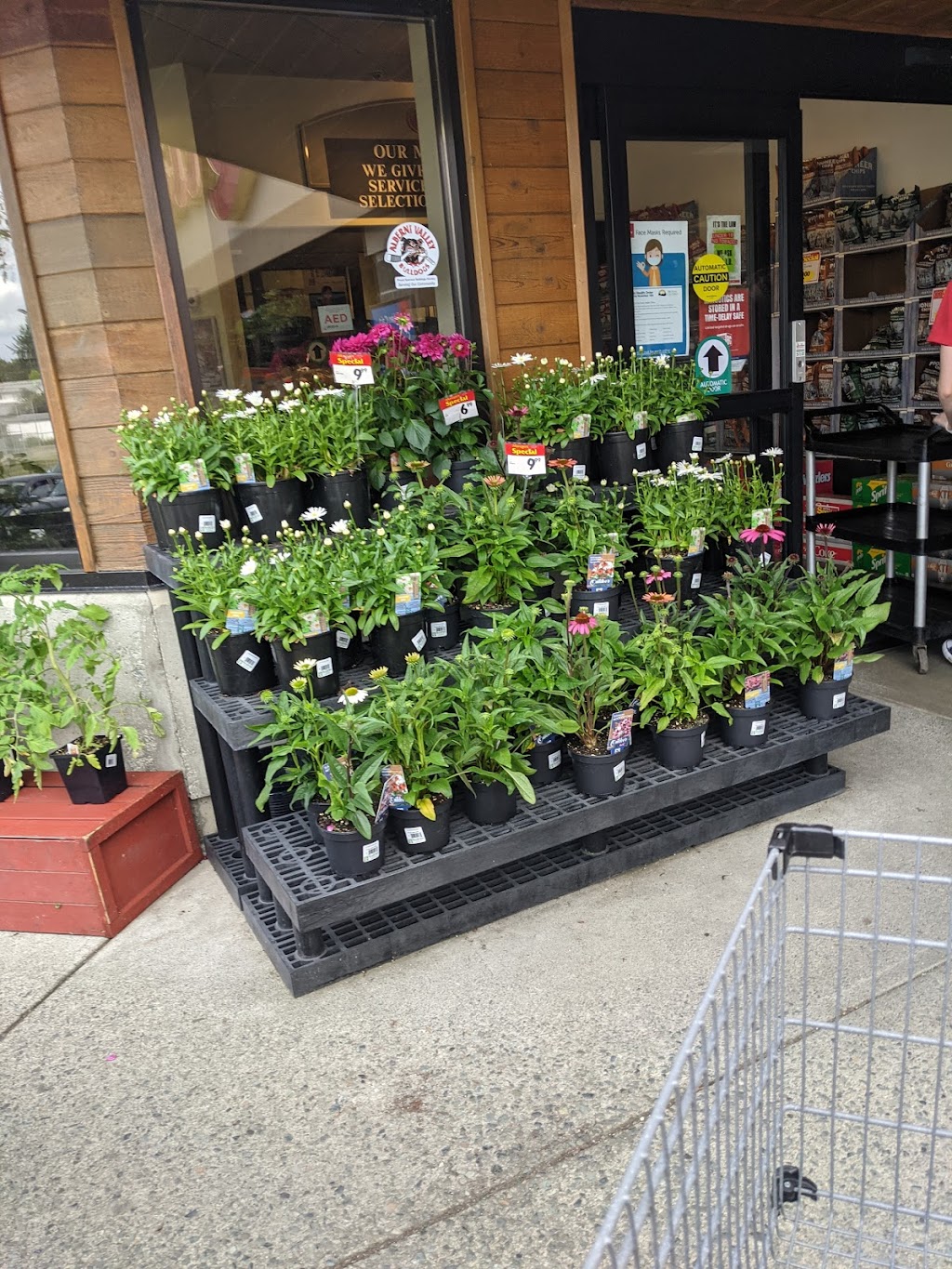 Quality Foods Port Alberni | 2943 10th Ave, Port Alberni, BC V9Y 2N5, Canada | Phone: (250) 723-3397