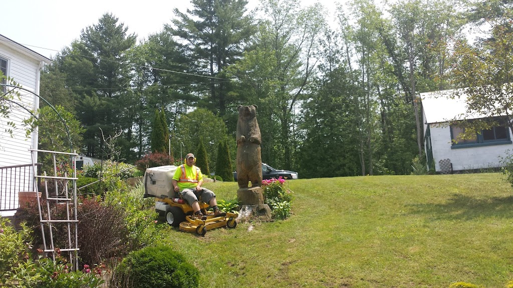 Lake Country Property Services | 1019-B Catherine Bagley Rd, Severn Bridge, ON P0E 1N0, Canada | Phone: (705) 238-6807