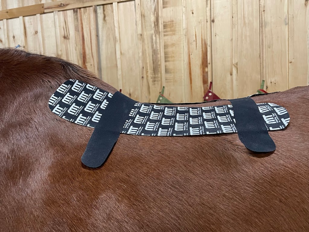 Cristina’s Equine Massage | 545 Cameron Harvey Dr, Ottawa, ON K2K 1X7, Canada | Phone: (613) 220-3239