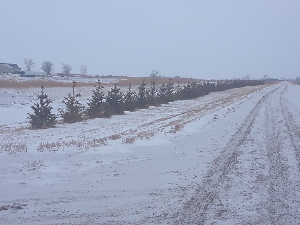 Sunset Acres Resort | 31 Sunset Acres Ln, Cymric, SK S0G 0Z0, Canada | Phone: (306) 596-2342