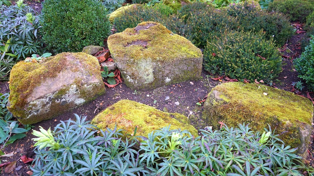 New Look Landscaping | 12713 101b Ave, Surrey, BC V3V 3A3, Canada | Phone: (604) 562-3806