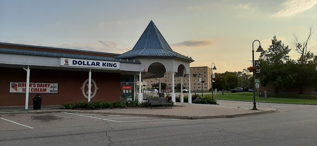 Dollar King Store | 48 Ridge Rd, Deep River, ON K0J 1P0, Canada | Phone: (613) 584-2600