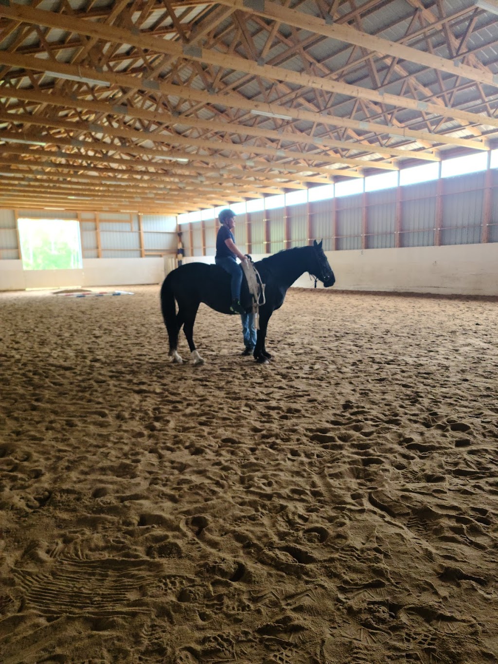 Classical Equitation | Rd 13E, Fraserwood, MB R0C 1A0, Canada | Phone: (204) 641-4268