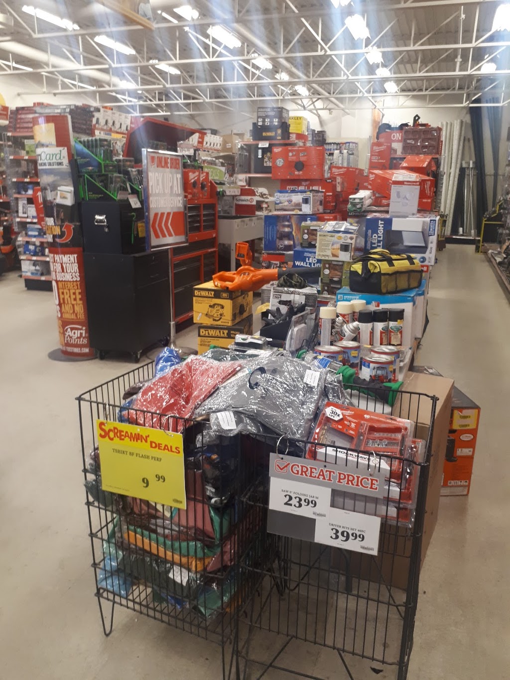 TSC Stores | 121 Concession St E, Tillsonburg, ON N4G 4W4, Canada | Phone: (519) 842-7001