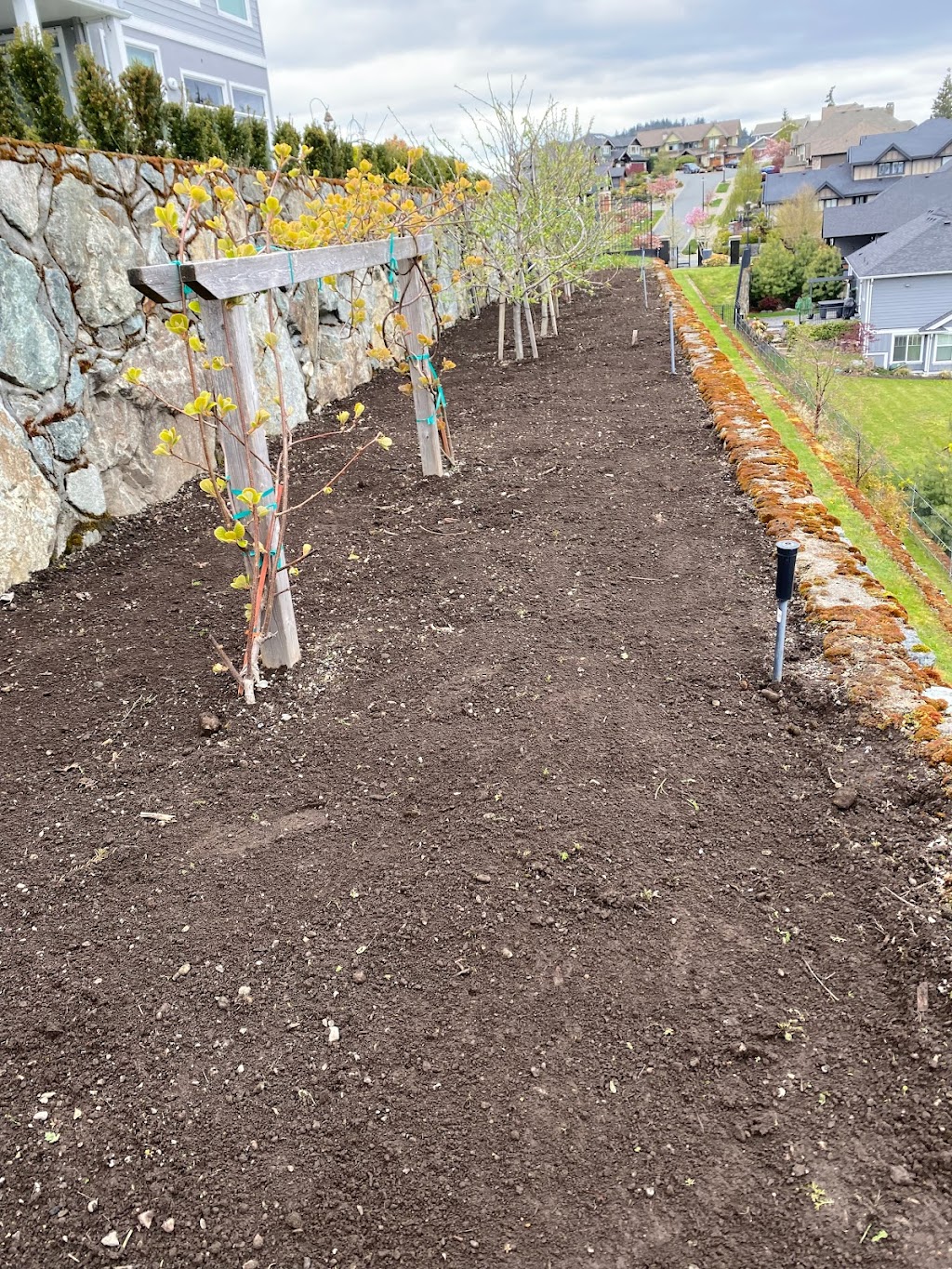 Freshman Landscaping Crew | Jedburgh Rd, View Royal, BC V9B 1K7, Canada | Phone: (250) 516-6687