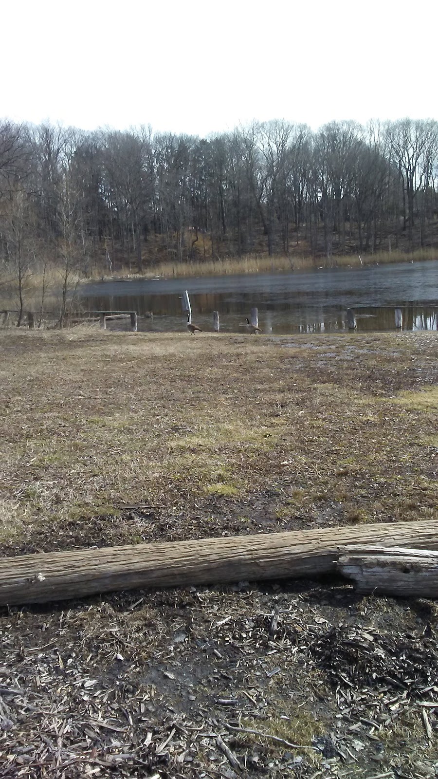 Sinking Pond Wildlife Sanctuary | East Aurora, NY 14052, USA