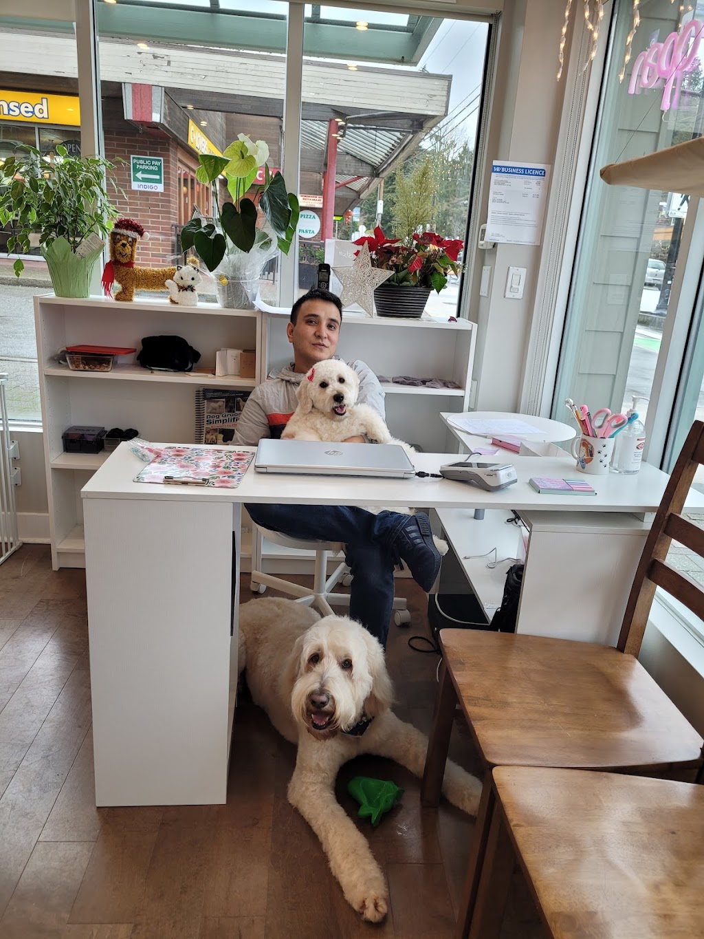 Pets Heaven Grooming | 6650 Royal Ave, West Vancouver, BC V7W 2B8, Canada | Phone: (604) 281-1101