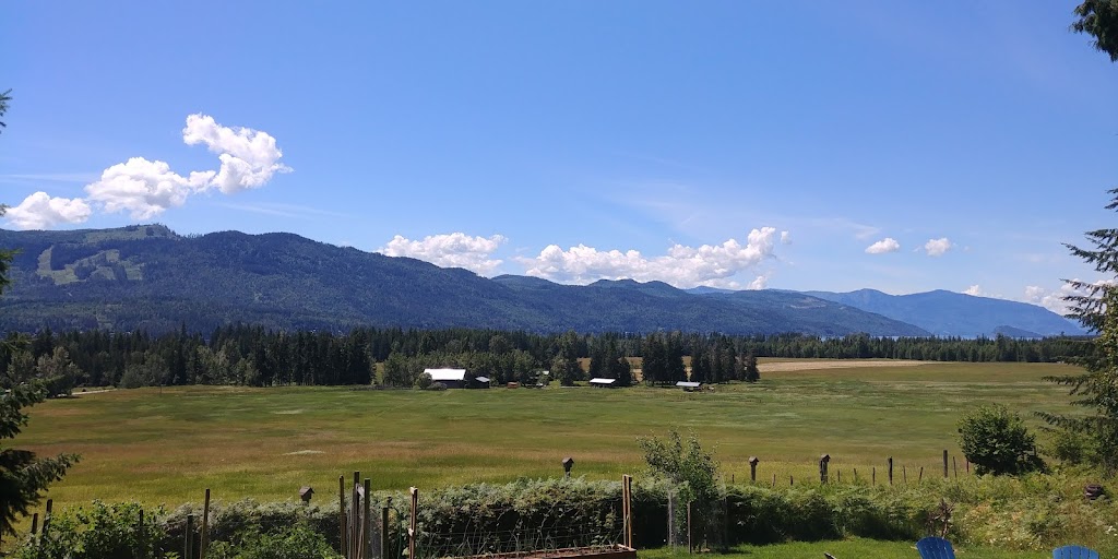 Willow Tree Bed and Breakfast | 7230 Fraser Crescent, Anglemont, BC V0E 1M8, Canada | Phone: (250) 679-2596