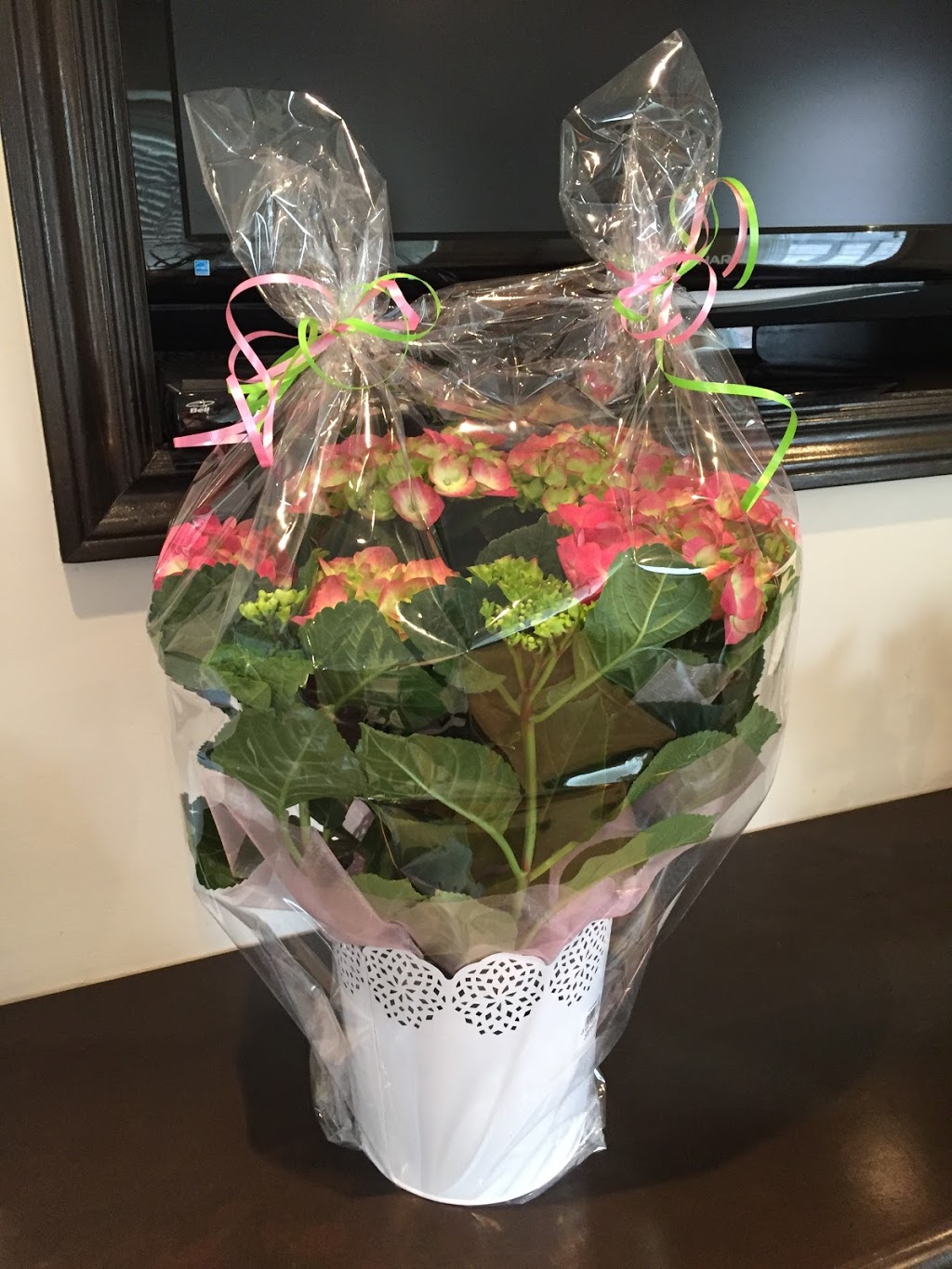 Heritage Dental Care Dentist Office | 91 Main St E, Milton, ON L9T 1N4, Canada | Phone: (905) 693-0123