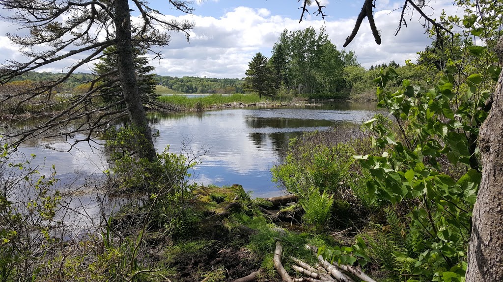 Graves Island Provincial Park | 230 Graves Island Rd, Chester, NS B0J 1J0, Canada | Phone: (902) 275-4425