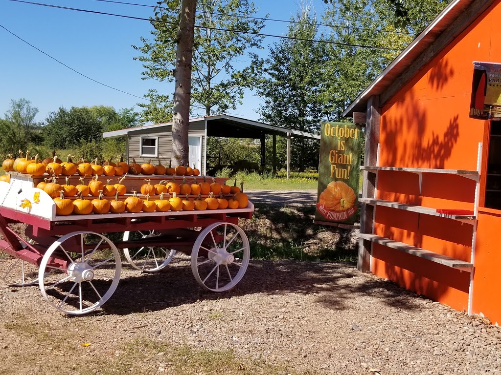 Gates U-pick | 1263 Starrs Point Rd, Port Williams, NS B0P 1T0, Canada | Phone: (902) 542-9340