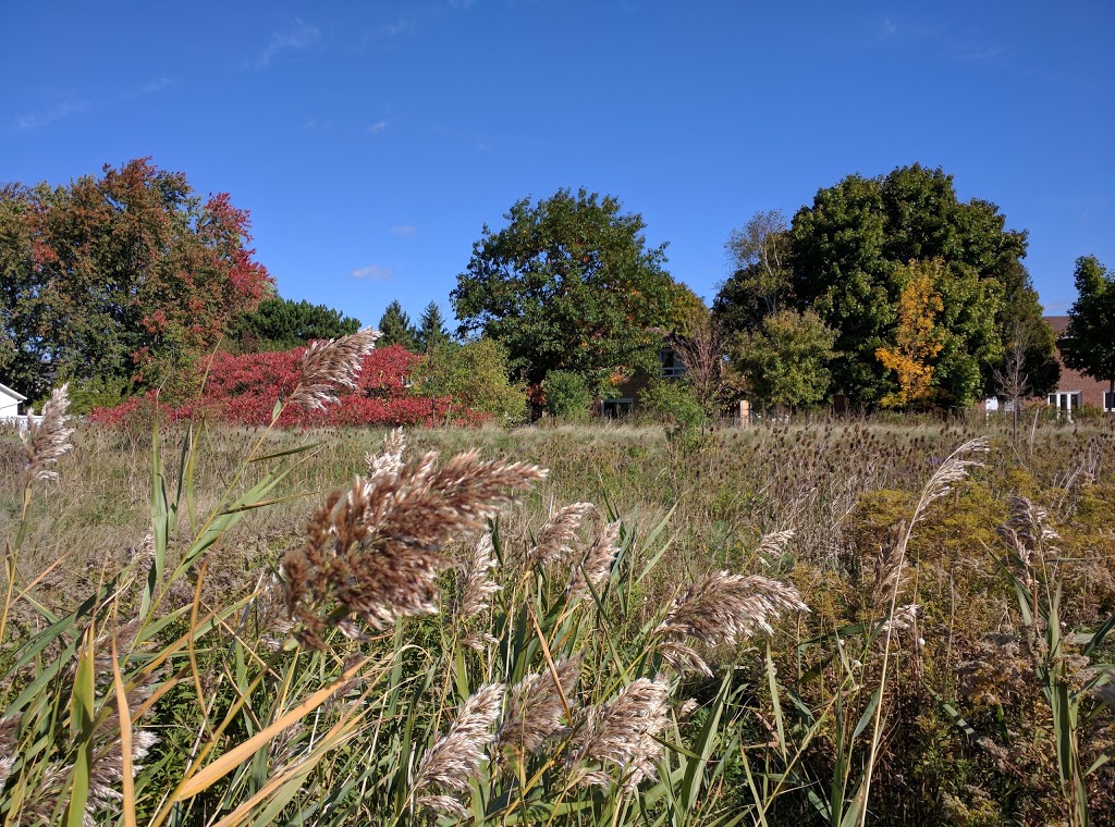 Sheridan Park Herridge Reservoir | 2200 Sheridan Park Dr, Mississauga, ON L5K 1C6, Canada