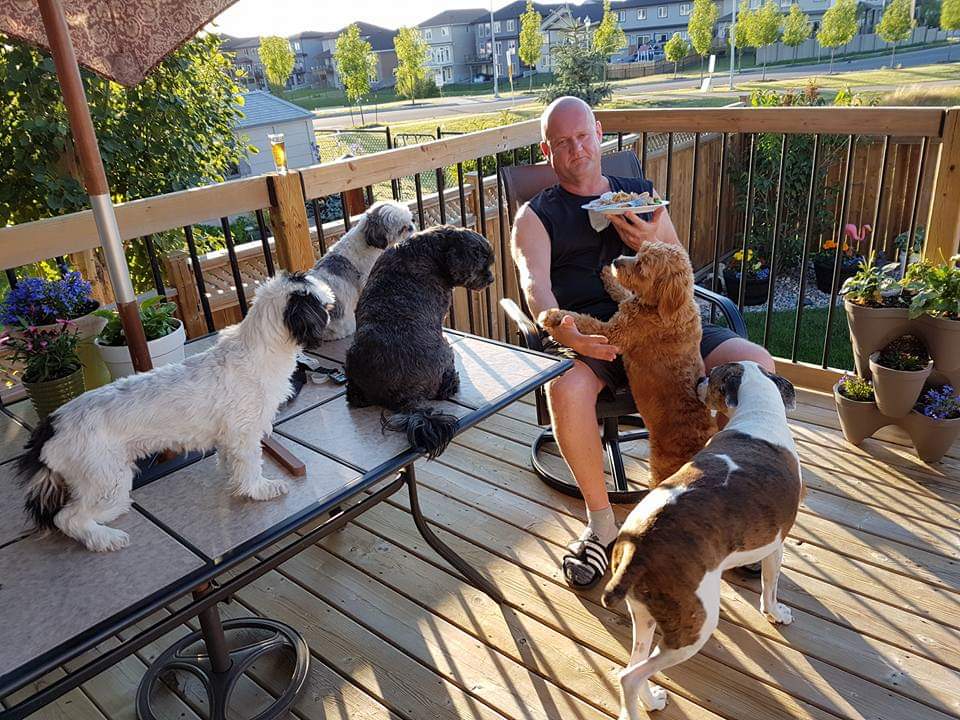 Cocos Canine Care | 12954 162a Ave NW, Edmonton, AB T6V 1V5, Canada | Phone: (780) 886-4723
