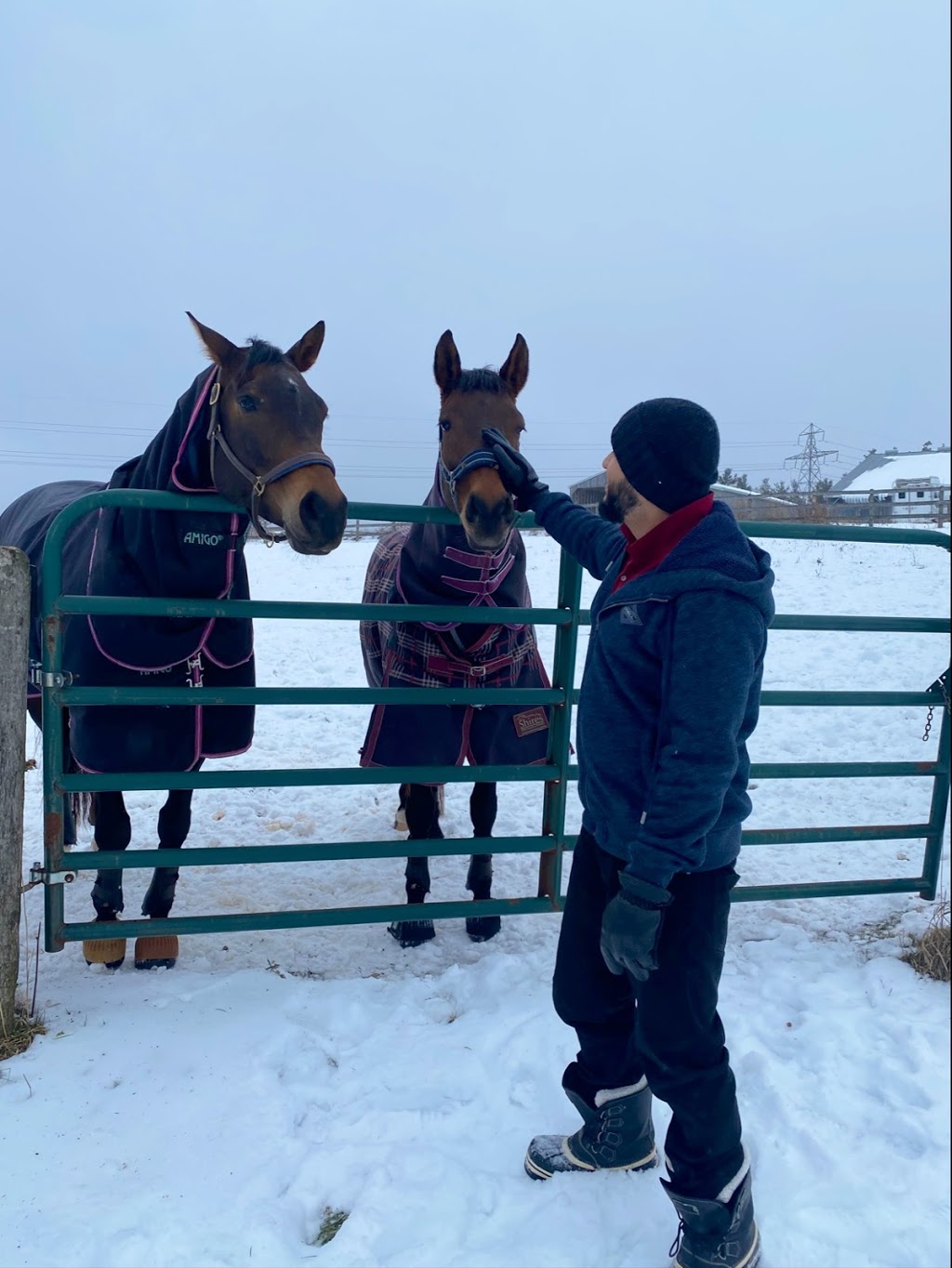 Eli Farms and Equestrian Club | 7345 Concession 1, Puslinch, ON N0B 2J0, Canada | Phone: (226) 343-2444