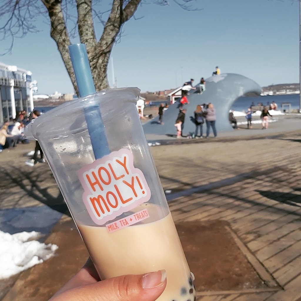 Holy Moly Bubble Tea | 114 Woodlawn Rd, Dartmouth, NS B2W 2S7, Canada | Phone: (902) 435-6755