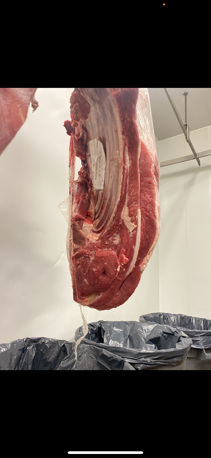 Holstock Farms LTD | 89615 Howick Minto Townline, Harriston, ON N0G 1Z0, Canada | Phone: (519) 580-1323