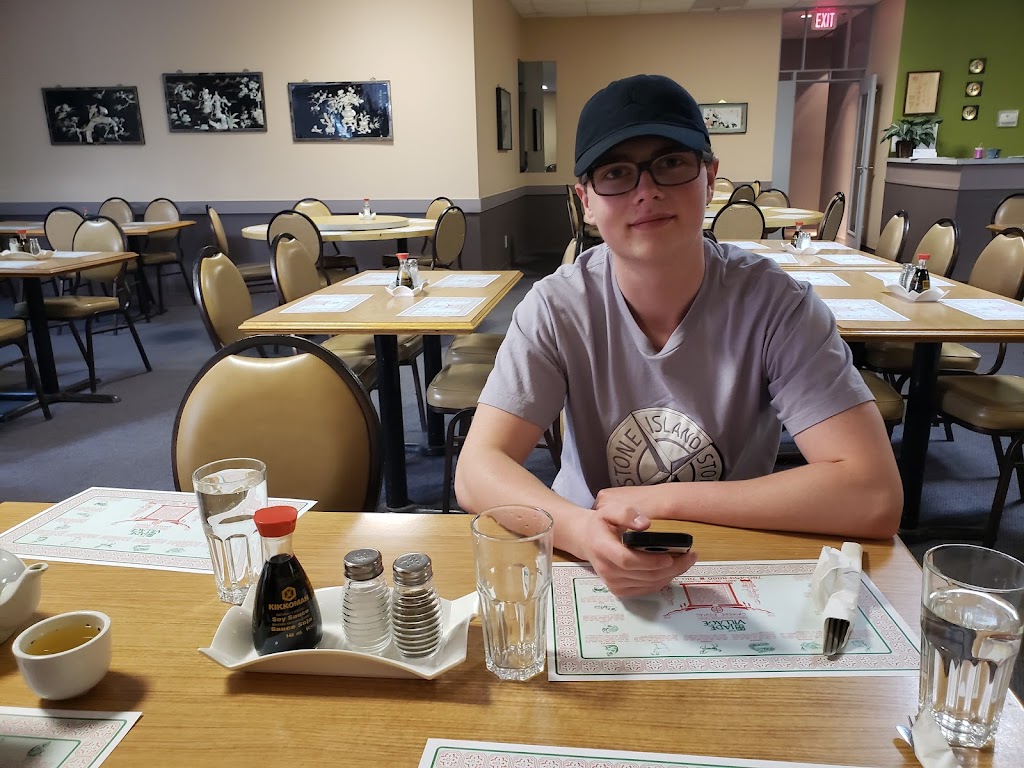 Jade Village Restaurant Ltd | 140 St Albert Trail, St. Albert, AB T8N 7C8, Canada | Phone: (780) 459-8899