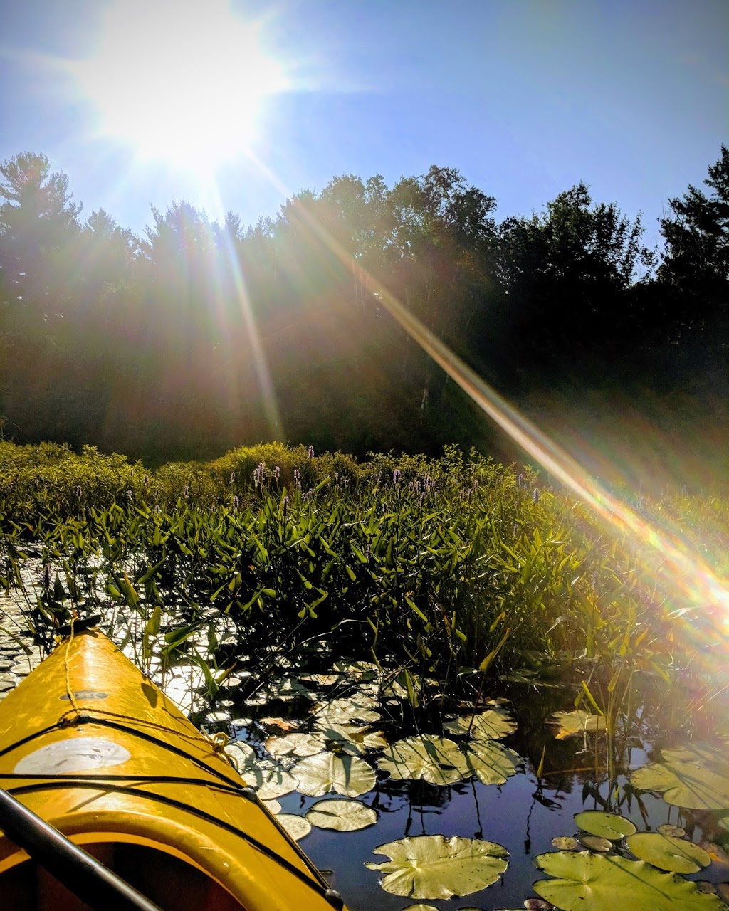Riley Lake | 1142-1160 Deerfly Dr, Washago, ON L0K 2B0, Canada | Phone: (705) 644-0800