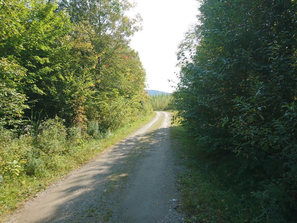 Grotte de lours (Zone Champman) | 270 Rang 11e E, Stoke, QC J0B 3G0, Canada